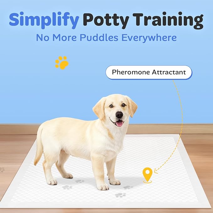 Disposable Potty / Pee Pads for Puppy Dog Training, 6-Layer Super Absorbent & Leak Proof, Odor Block Cat Pee Pads for Pet with Anti-Slip Adhesive Strips, 22''x22'' 100 Count, White