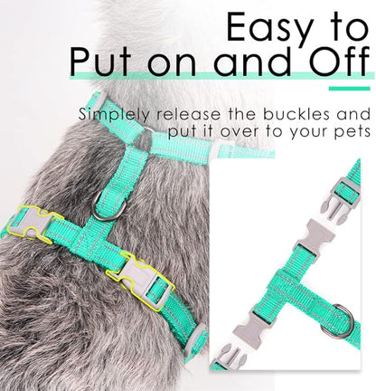 ThinkPet Reflective Breathable Soft Air Mesh No Pull Puppy Choke Free Over Head Vest Harness for Puppy Small Medium Dogs and Cats Teal Medium