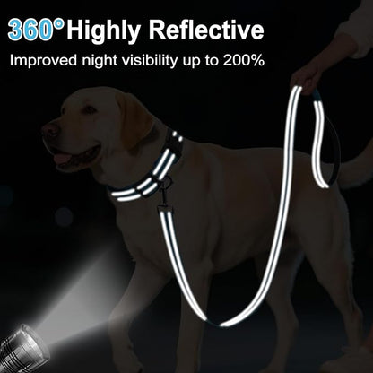 6FT Reflective Nylon Dog Leash with Soft Padded Handle for Walking, Running and Training, Supports Small Medium and Large Dogs (Auqa Blue, 3/4Inch Wide)