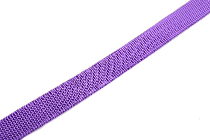 Nylon Dog Leash 10 Feet Long, Walking Training Dog Leashes for Medium Large Dogs, 1 Inch Wide (Purple)