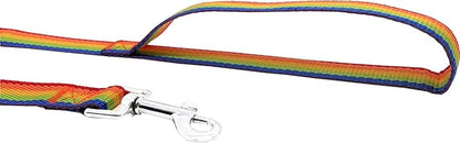 Nylon Training Dog Leash for Small Medium Large Dogs, 15ft 20ft 30ft 50ft Long Leash Dog/Puppy Lead for Obedience Recall Training, Camping (30ft, Rainbow)