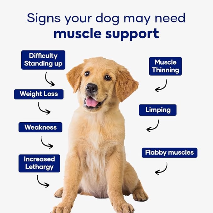 Muscle & Vitality Formula for Dogs with Ashwagandha, Shilajit, Green Lipped Mussel & Glucosamine | Pack of 3