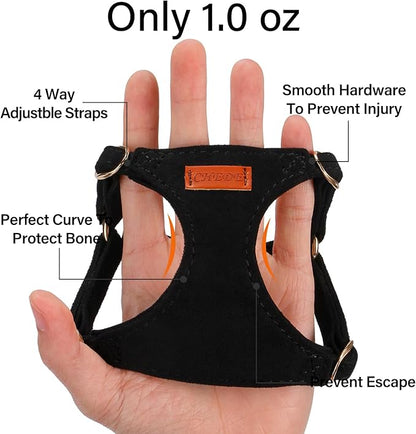 No Pull Dog Harness- Lightweight, Soft, Adjustable Small Harness Collar and Leash Set, Suitable for Cats Puppy Small and Medium-Sized Dog Outdoor Training and Running (Black, XXS)