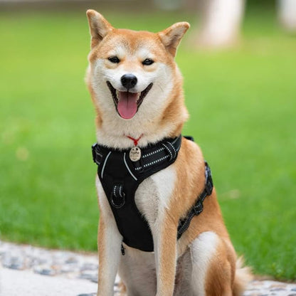 PoyPet No Pull Dog Harness, Reflective Comfortable Vest Harness with Front & Back 2 Leash Attachments and Easy Control Handle Adjustable Soft Padded Pet Vest for Small to Large Dogs (Black,XS)