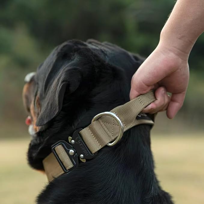 TSPRO Premium Dog Collars Tactical Dog Collar with Handle and Heavy Duty Quick-Release Metal Buckle Durable Thick and Adjustable for Medium to Large Dogs (Yellow M)
