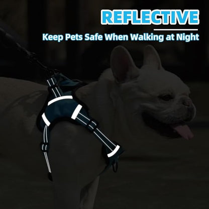 PUPTECK No Pull Dog Harness Small Sized Dog, Adjustable Reflective Escape Proof Easy Control, Comfortable Soft Padded Step in Pet Vest Harness, Blue, S