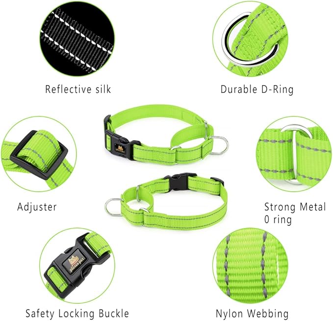 Plutus Pet Reflective Martingale Collar with Buckle - Durable and Adjustable Training Collar for No Pulling, Dog Choker Collar for Small Medium Large Dogs, Bright Green, XS