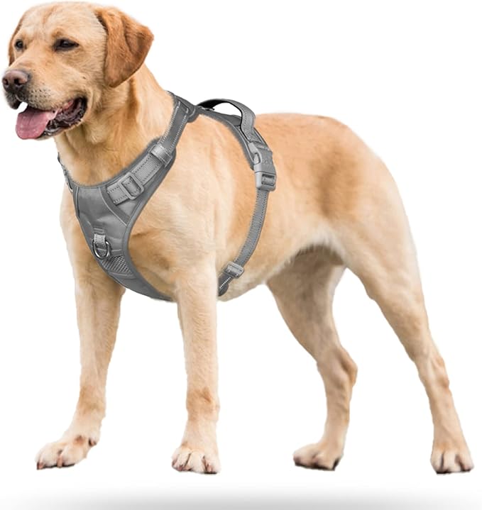 PoyPet No Pull Dog Harness, No Choke Reflective Dog Vest, Adjustable Pet Harnesses with 2 Leash Attachments with Easy Control Padded Handle for Small Medium Large Dogs(Gray,L)