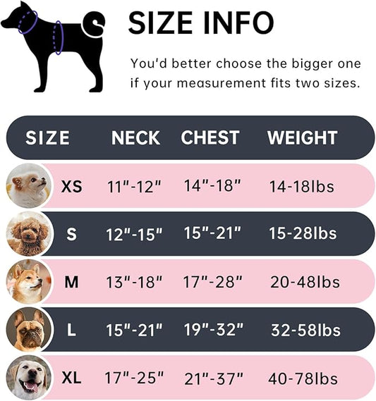 IVY&LANE No Pull Dog Harness for Small Dogs, Dog Vest Harness with Leash, Safety Belt and Storage Strap, Fully Adjustable Harness, 360° Reflective Strip, Soft Handle (Black, S)
