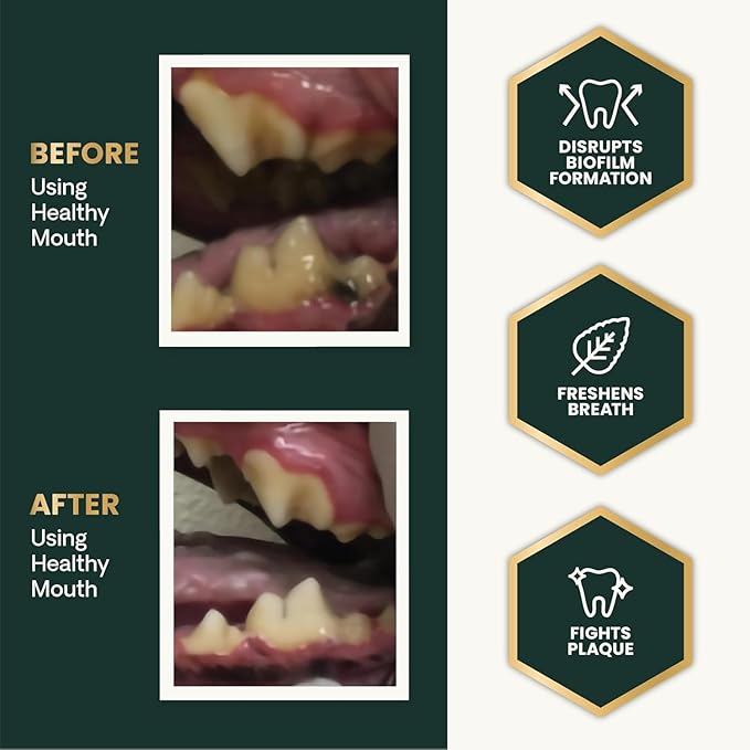 VetriScience Healthy Mouth Dog Dental Powder, 2Pack – Helps Reduce Plaque & Tartar Buildup, Support Clean Teeth & Fresh Breath, Vet-Formulated Oral Care Powder for Dogs Cats, NASC Certified, 2 x 4.2oz