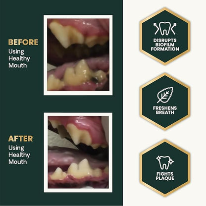 VetriScience Healthy Mouth Dog Dental Powder, 2Pack – Helps Reduce Plaque & Tartar Buildup, Support Clean Teeth & Fresh Breath, Vet-Formulated Oral Care Powder for Dogs Cats, NASC Certified, 2 x 4.2oz