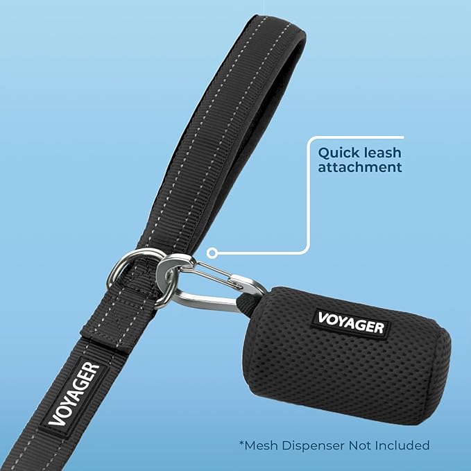 Best Pet Supplies Voyager Reflective Dog Leash or Collar with Neoprene Handle, for Small, Medium, and Large Breed Puppies, Cute and Heavy Duty for Walking, Running and Training - Black (Leash), L