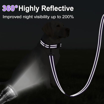 6FT Reflective Nylon Dog Leash with Soft Padded Handle for Walking, Running and Training, Supports Small Medium and Large Dogs (Purple, 3/4Inch Wide)