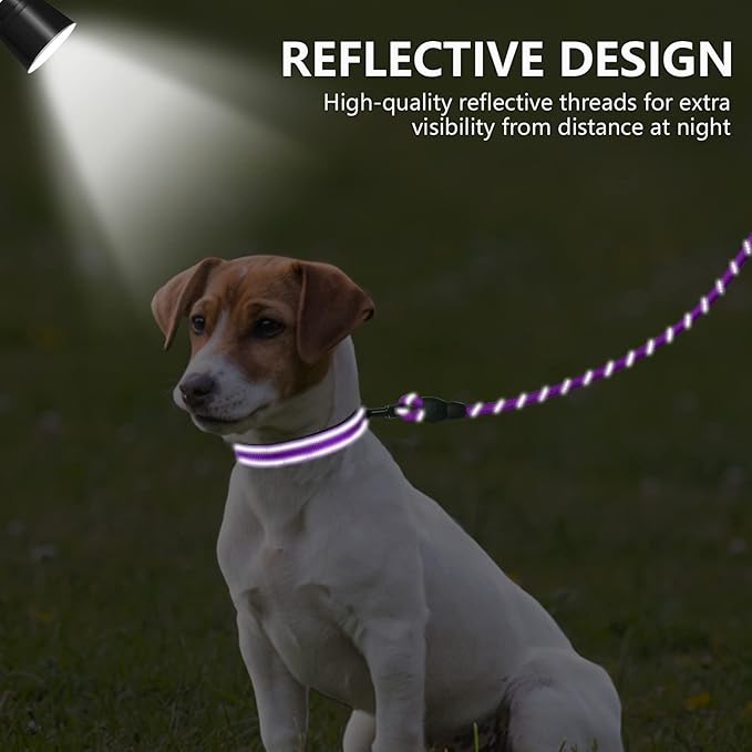 Dynmeow Reflective Dog Collar and Leash Set, 6FT Strong Climbing Rope Leash with Padded Handle, Adjustable Pet Collar with Soft Neoprene Padding for Small Medium Dogs, Purple, S