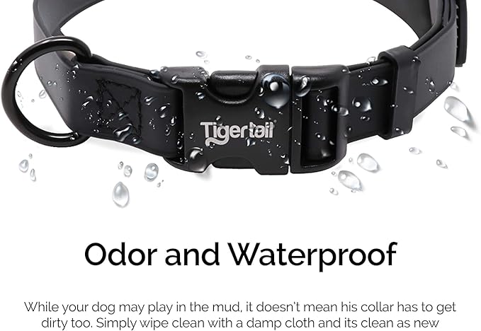 Tiger Tail Large Purple Dog Collar | Waterproof and Odor-Proof for Active Pets | Durable, Anti-Mat, and Lightweight Design | Made with Premium Coated Nylon | Suitable for Large Breed Dogs