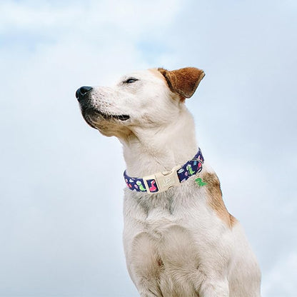 UP URARA PUP Summer Dog Collar-Dinosaur Dog Collars with Planet-Cute Blue Summer Pet Dollar-Soft, Adjustable & Stylish for Small/Medium Dogs
