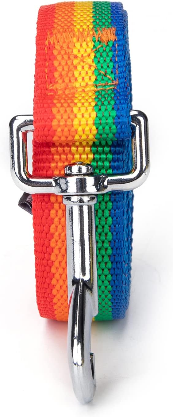 Siumouhoi Strong Durable Nylon Dog Training Leash, 1 Inch Wide Traction Rope, 6 ft 10ft 15ft Long, for Small and Medium Dog (Rainbow, 15 Feet)