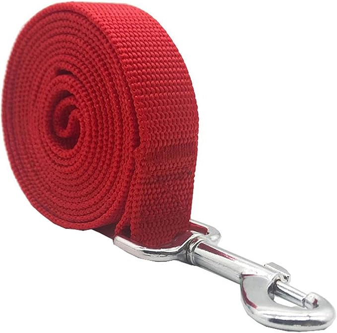 Nylon Dog Leash 12 Feet Long, Walking Training Dog Leashes for Medium Large Dogs(1" X 12 ft, Red)