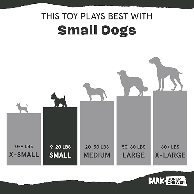 Barkbox Super Chewer Tough Dog Chew Toys for Aggressive Chewers, Dental Stimulating (Bacon Bone - Small)