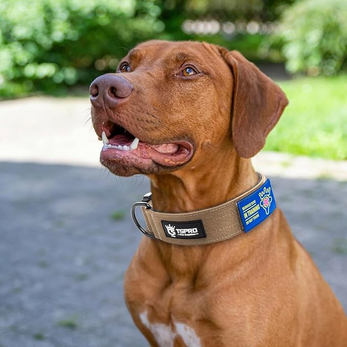 TSPRO Premium Dog Collars Tactical Dog Collar with Patch and Heavy Duty Quick-Release Metal Buckle Durable Thick and Adjustable for Medium to Large Dogs (Khaki L)