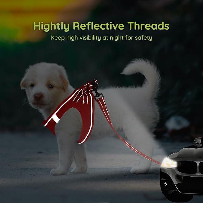 BELLA & PAL Step in Vest Harness for Small and Medium Dogs, No Pull Small Dog Harness with Leash Set, Comfortable Air Mesh Dog Vest Harness with Reflective Strip (Red, S)