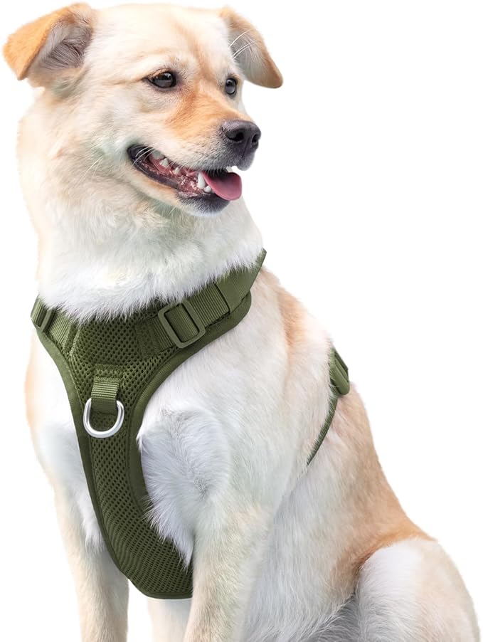 No Pull Dog Harness for Small Medium Large Dogs - Adjustable 2 Layer Mesh Dog Vest with Dual Clip, Escape Proof, Quick Release, Lightweight Breathable Mesh for Walking Hiking (Misty Green,XL)
