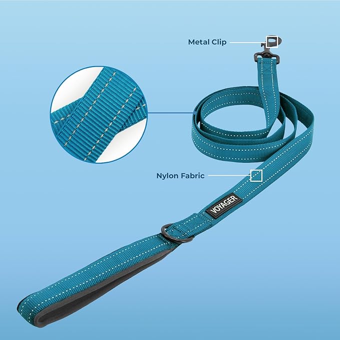 Best Pet Supplies Voyager Reflective Dog Leash or Collar with Neoprene Handle, for Small, Medium, and Large Breed Puppies, Cute and Heavy Duty for Walking, Running and Training - Turquoise (Leash), S