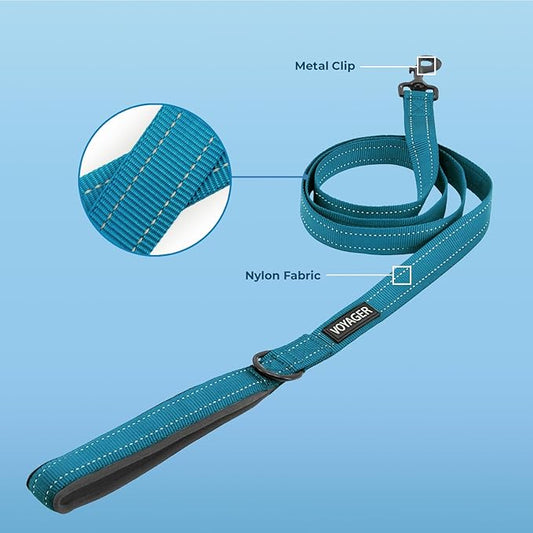 Best Pet Supplies Voyager Reflective Dog Leash or Collar with Neoprene Handle, for Small, Medium, and Large Breed Puppies, Cute and Heavy Duty for Walking, Running and Training - Turquoise (Leash), S