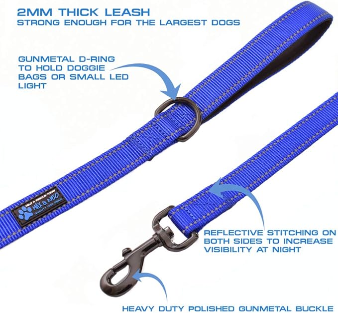 Max and Neo Small Dog Leash - Reflective Nylon, Donates to Dog Rescue (Orange, 4x5/8)