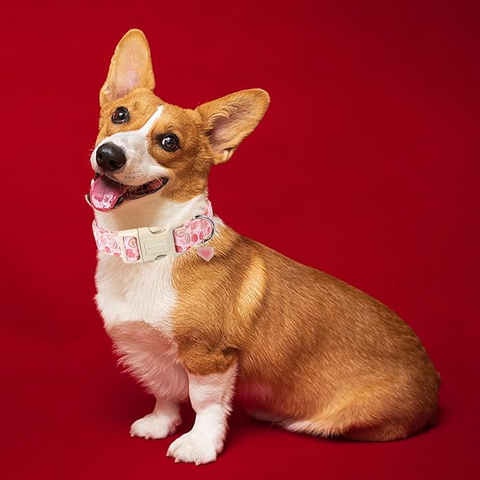 DOGWONG Pink Heart Dog Collar, Small, Valentine's Day Special, Fabric, Soft & Comfortable, Adjustable (4" W x 10" L), Perfect for Small Dogs