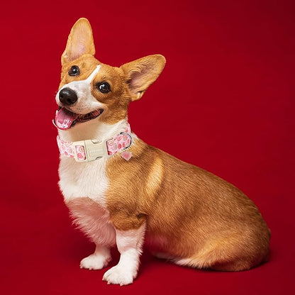 DOGWONG Pink Heart Valentine Dog Collar, Medium, Soft, Adjustable, Cute, for Small to Large Dogs