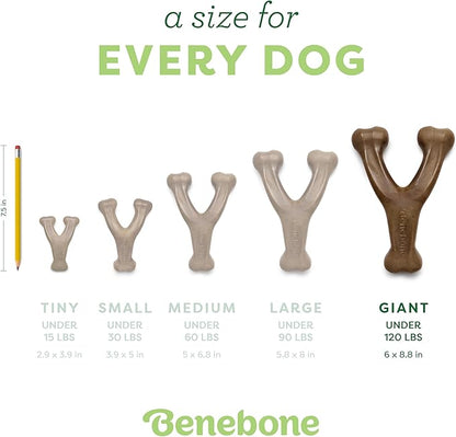 Benebone Wishbone Durable Dog Chew Toy for Aggressive Chewers, Real Peanut, Made in USA, Giant