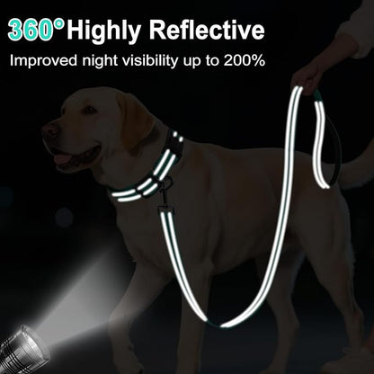 6FT Reflective Nylon Dog Leash with Soft Padded Handle for Walking, Running and Training, Supports Small Medium and Large Dogs (Turquoise, 1 Inch Wide)