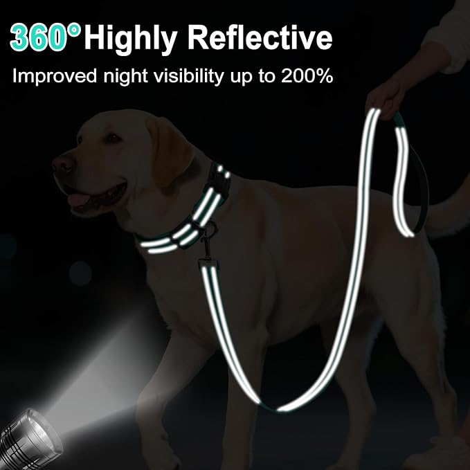 4FT Reflective Nylon Dog Leash with Soft Padded Handle for Walking, Running and Training, Supports Small Medium and Large Dogs (Turquoise, 1 Inch Wide)