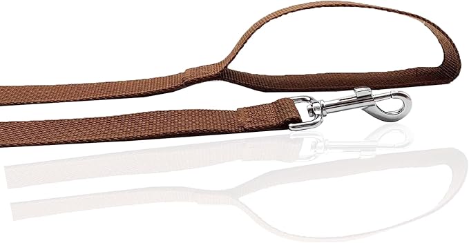 Nylon Dog Leash 12 Feet Long, Walking Training Dog Leashes for Medium Large Dogs(1" X 12 ft, Brown)