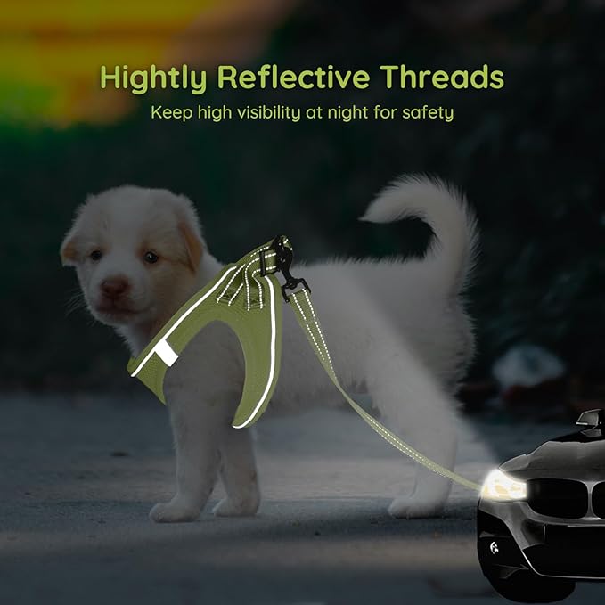 BELLA & PAL Step in Vest Harness for Small and Medium Dogs, No Pull Small Dog Harness with Leash Set, Comfortable Air Mesh Dog Vest Harness with Reflective Strip (Avocado Green, L)