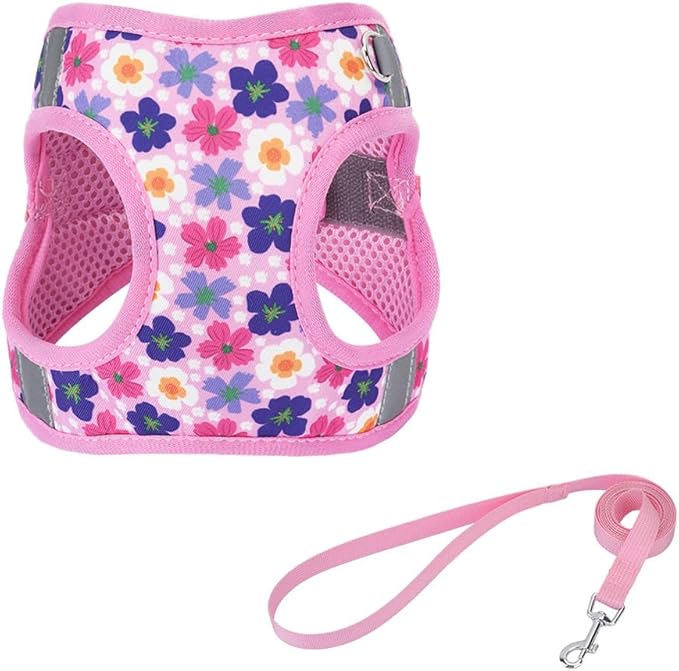 Step in Dog Harness and Leash Set, Flower Adjustable Easy Walk Puppy Harnesses, Soft Mesh No Pull Pet Vest Harness for Small Medium Dogs(Flower, S)