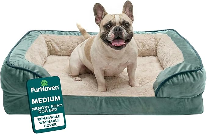 Furhaven Memory Foam Dog Bed for Medium/Small Dogs w/ Removable Bolsters & Washable Cover, For Dogs Up to 35 lbs - Plush & Velvet Waves Perfect Comfort Sofa - Celadon Green, Medium