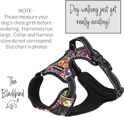 Lucky Love Dog No Pull Dog Harness, Adjustable and Easy to Walk, Cute Patterned Harness for Small Medium Large Male & Female Dogs - Blackbird, XXS
