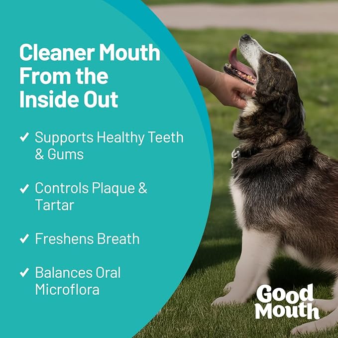 Pet HealthWorks Good Mouth Dental Chews for Dogs – Controls Plaque & Tartar, Promotes Fresh Breath, Supports Gum & Oral Health – Clinically Studied, Cheeseburger Flavor, No Mess, 60 Soft Chews