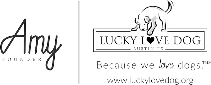 Lucky Love Dog - Adjustable Collar and Leash Set with Easy Click Buckle for Large Dogs, Durable, & Comfortable Collar for Male & Female Dogs, Puppies & Adult - CarrieBelle Combo, Large