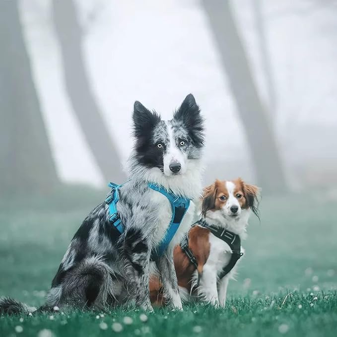 Truelove Adjustable No-Pull Dog Harness Reflective Pup Vest Harnesses Comfortable Control Brilliant Colors TLH5651(Blue,S)