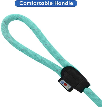 Pawtitas Double Leash for Two Dogs Great for Walking & Training Comfortable Shock Absorbing Reflective Pet Rope Leash for 2 Dogs 6ft - Medium/Large - Teal