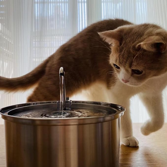 KittySpout Stainless Steel Cat Water Fountain Automatic Drinking Fountain, Quiet Circulating Water Bowl, Dishwasher Safe, Indoor Pet Fountain for Hydrated Healthy Cats (Stainless Steel, 3.2L Corded)