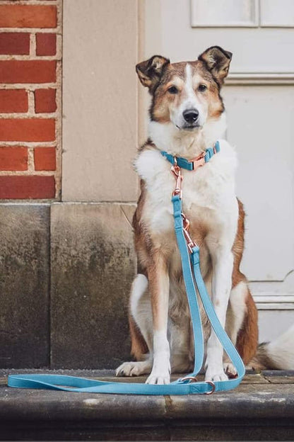 Soft Leather Dog Collar and Leash (6.6') Set - Stylish Rose Gold Heavy Duty Metal Buckle, 4 Adjustable Lengths Leash for Small Medium Large Dogs - Comfortable & Easy to Clean Light Blue S(12.2"-16.9")