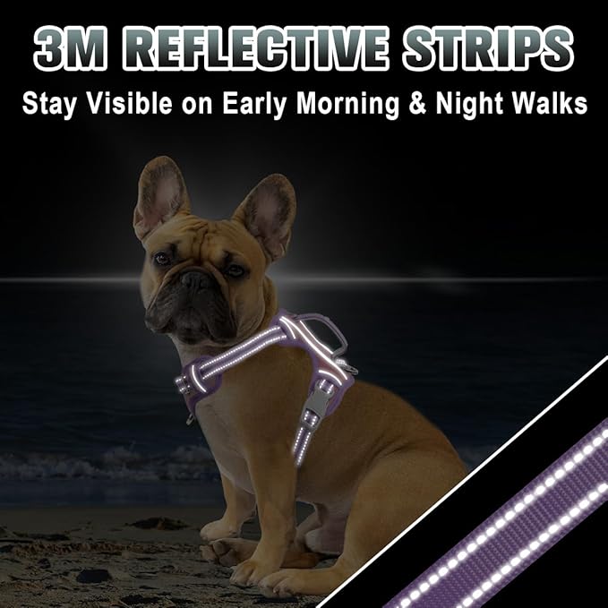 BARKBAY No Pull Dog Harness Large Reflective Dog Harness with Front Clip and Easy Control Handle for Walking Training Running with ID tag Pocket(Baby Pink & Violet Purple,XS)