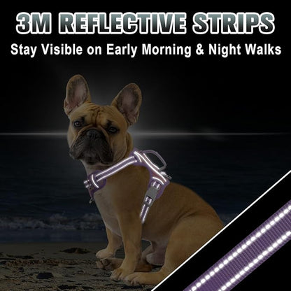 BARKBAY No Pull Dog Harness Large Reflective Dog Harness with Front Clip and Easy Control Handle for Walking Training Running with ID tag Pocket(Baby Pink & Violet Purple,XS)