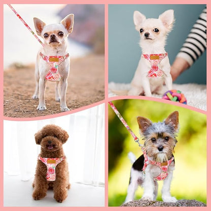 SlowTon Dog Harness Small Sized Dog - Soft XXS Dog Harness and Leash Set No Pull No Chock, Adjustable Lightweight Puppy Harness for XS Small Medium Dogs Cats (Pink Rose, M)