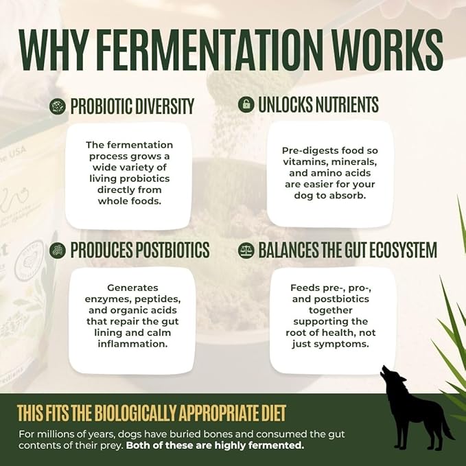 Gussy's Gut Youthful Grasses & Sprouts Dog Gut & Digestive Health Supplement- Human Grade Fermented Ingredients- Super Greens, Pre/Post & Probiotic All in One - Maintain Protocol