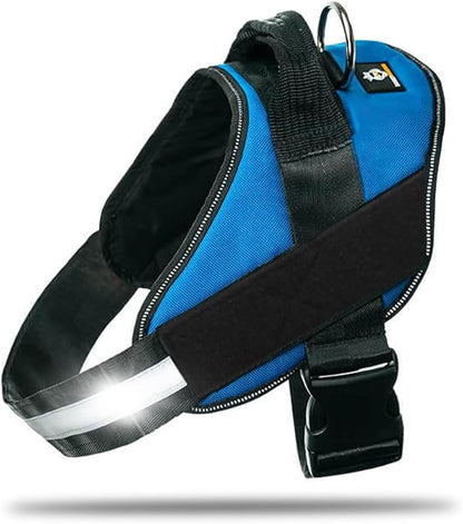 DOGGYKINGDOM Non Pull Dog Harness with Patch Panels and Handle, Adjustable, Reflective, No Choke, Heavy Duty Easy On Service Dog Vest Harnesses for Medium Large Small Sized Dogs - Blue, L